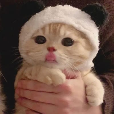 MariaClara_Gaming avatar